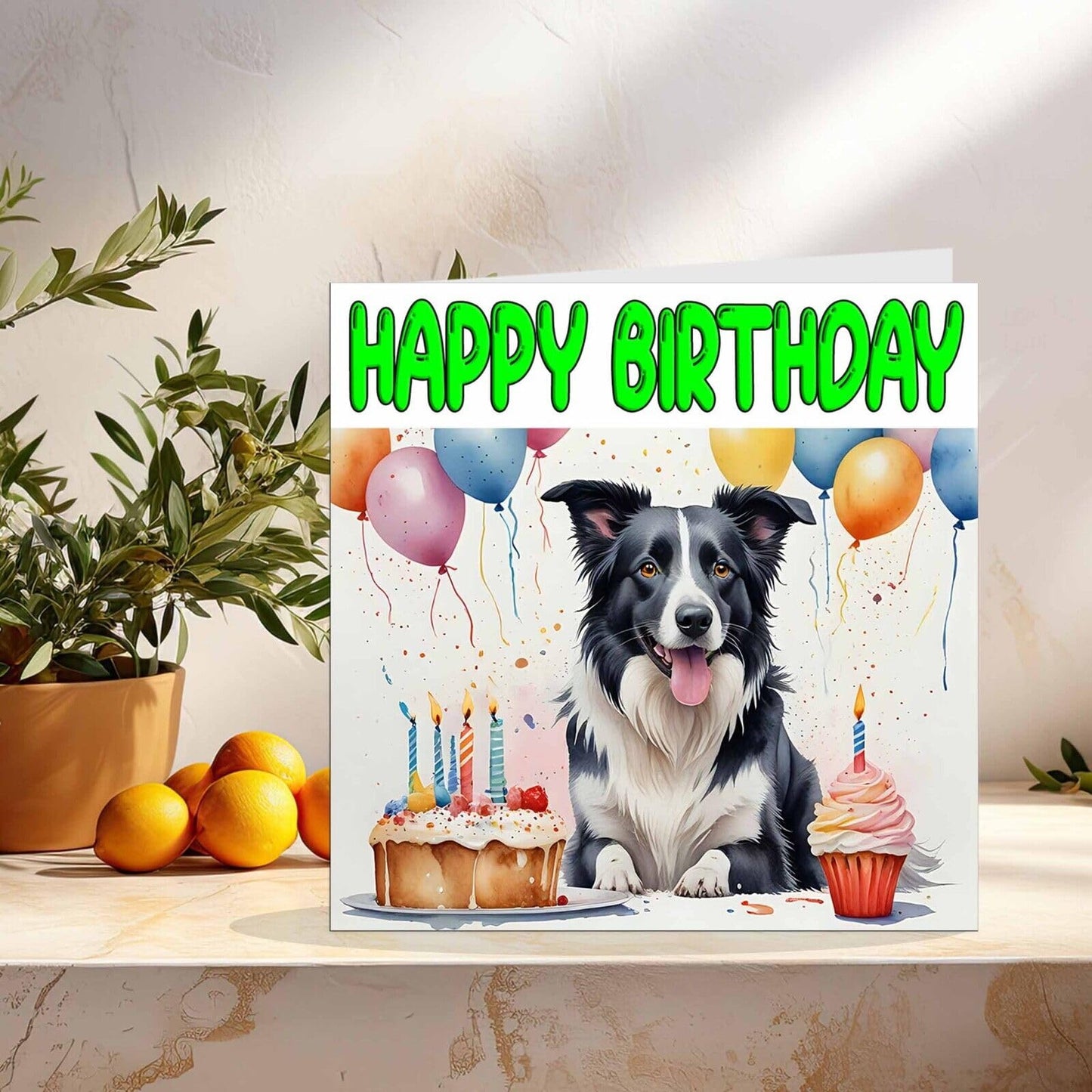 Border Collie Birthday Card - Funny Dog Birthday Card - 145 x 145mm