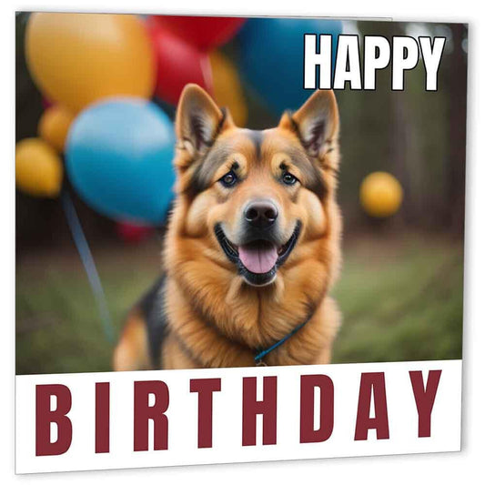 Finnish Spitz Birthday Card 147 x 147mm - Purple Fox Gifts