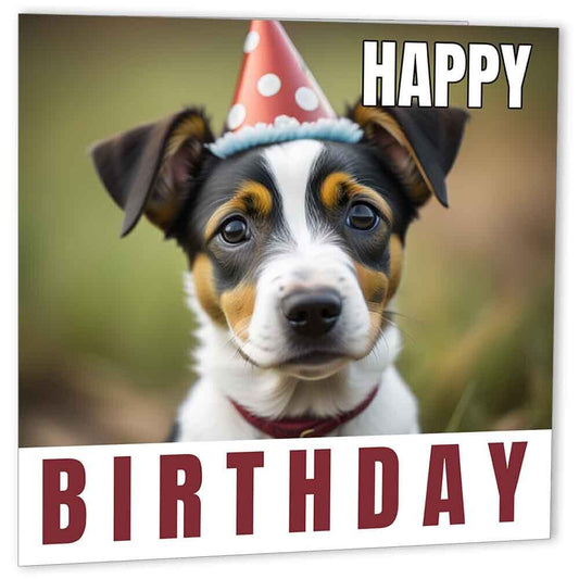 Jack Russell Birthday Card 147 x 147mm Dogs - Purple Fox Gifts