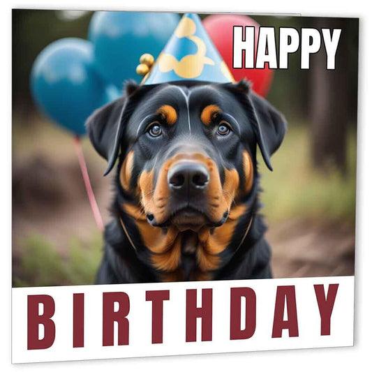 Rottweiler Birthday Card 147 x 147mm - Purple Fox Gifts
