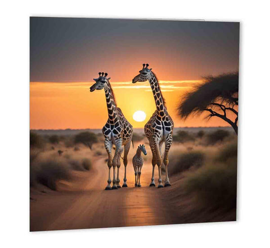 Giraffe Greeting Card Giraffes Birthday Card Safari Africa 147mm x 147mm - Purple Fox Gifts