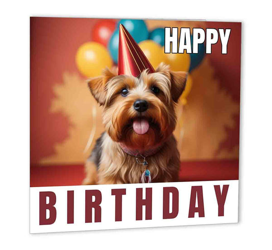 Norfolk Terrier Birthday Cards 147 x 147mm dog Happy Birthday Card - Purple Fox Gifts