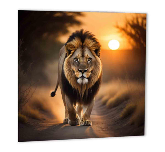 Lion Greeting Card Birthday Cards 147mm x 147mm - Purple Fox Gifts