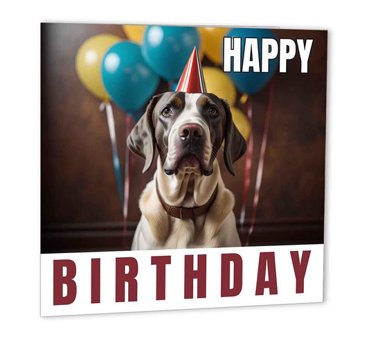 English Pointer Birthday Card 147 x 147mm Cute Dog Happy Birthday Cards - Purple Fox Gifts