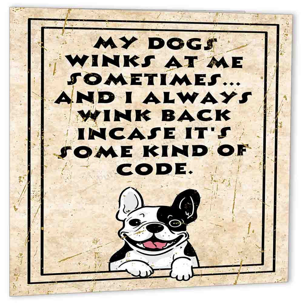 My Dog Winks at me Funny Birthday Greeting Card 150mm x 150mm dog lover - Purple Fox Gifts