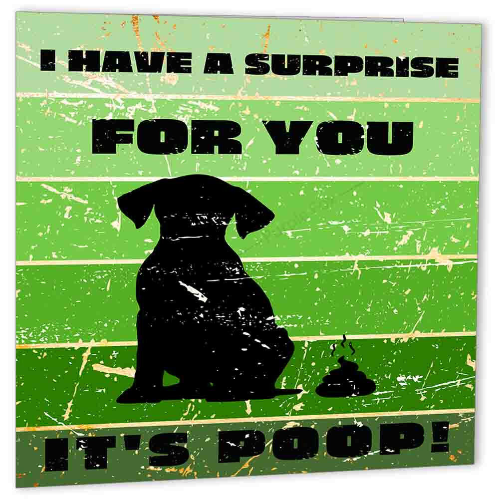 Rude Funny Birthday Card From the Dog Surprise Poop 150x150mm for him dad friend - Purple Fox Gifts