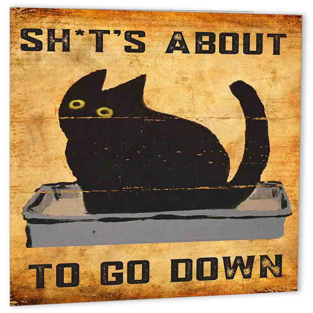 Rude Cat Card Sh*ts About to go Down Funny Kitty Birthday Greeting Card - Purple Fox Gifts