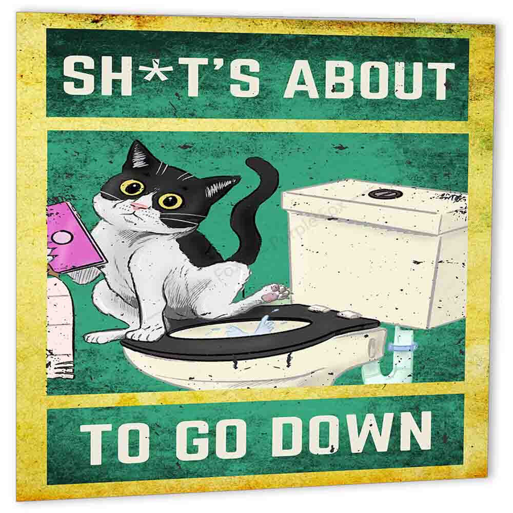 Funny Rude Cat birthday Card Sh*ts About to go Down naughty cat Card bad kitty - Purple Fox Gifts