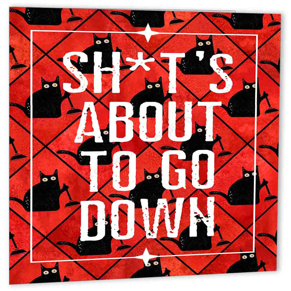 Rude Cat Birthday Card Sh*ts About to go Down Funny Kitty Greeting Card - Purple Fox Gifts