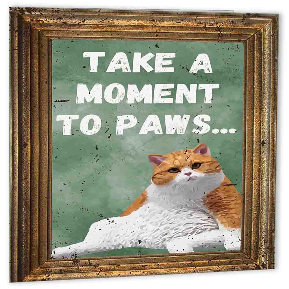 Funny Fat Cat Birthday Card Take a Moment to PAWS Lazy Kitty Card 150x150m - Purple Fox Gifts