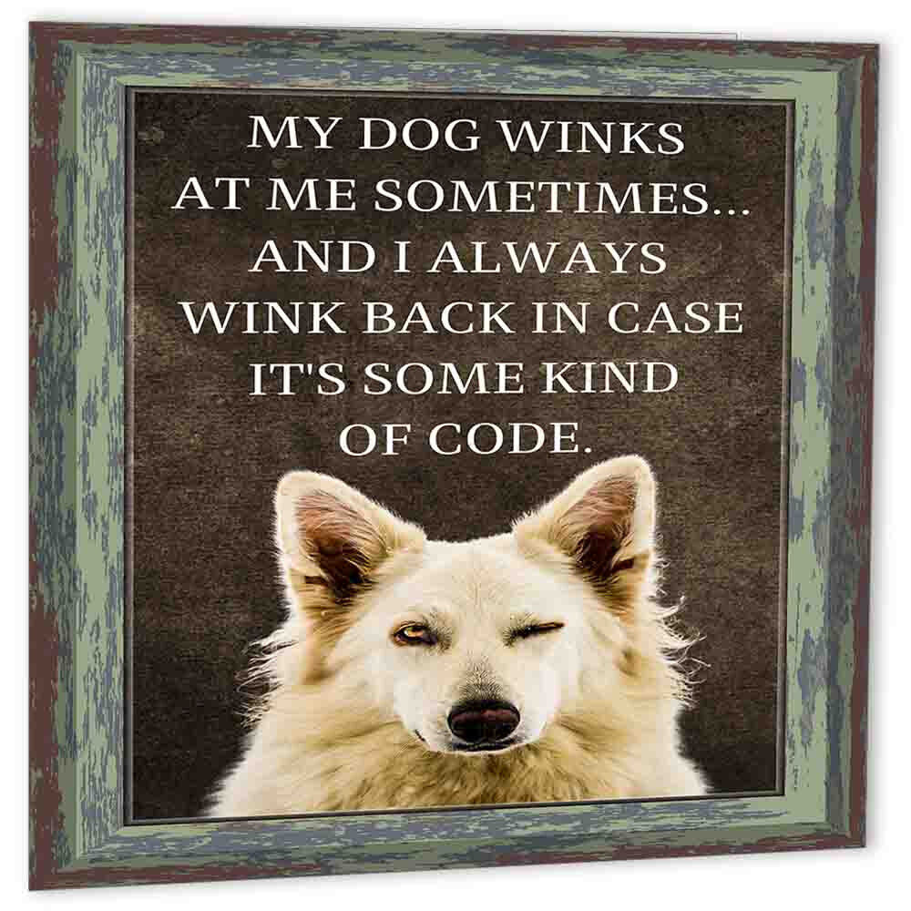 My Dog Winks at me Funny Birthday Greeting Card Dogs 150mm x 150mm - Purple Fox Gifts